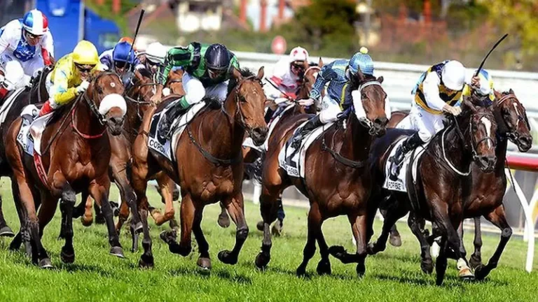 Đua Ngựa Trực Tuyến